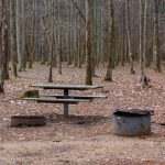 Located in the Talladega National Forest, Alabama; Pine Glen is a great spot for camping, hiking, and enjoying the great outdoors.