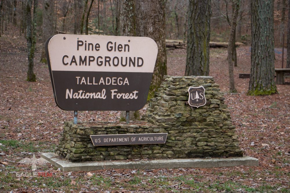 Located in the Talladega National Forest, Alabama; Pine Glen is a great spot for camping, hiking, and enjoying the great outdoors. 