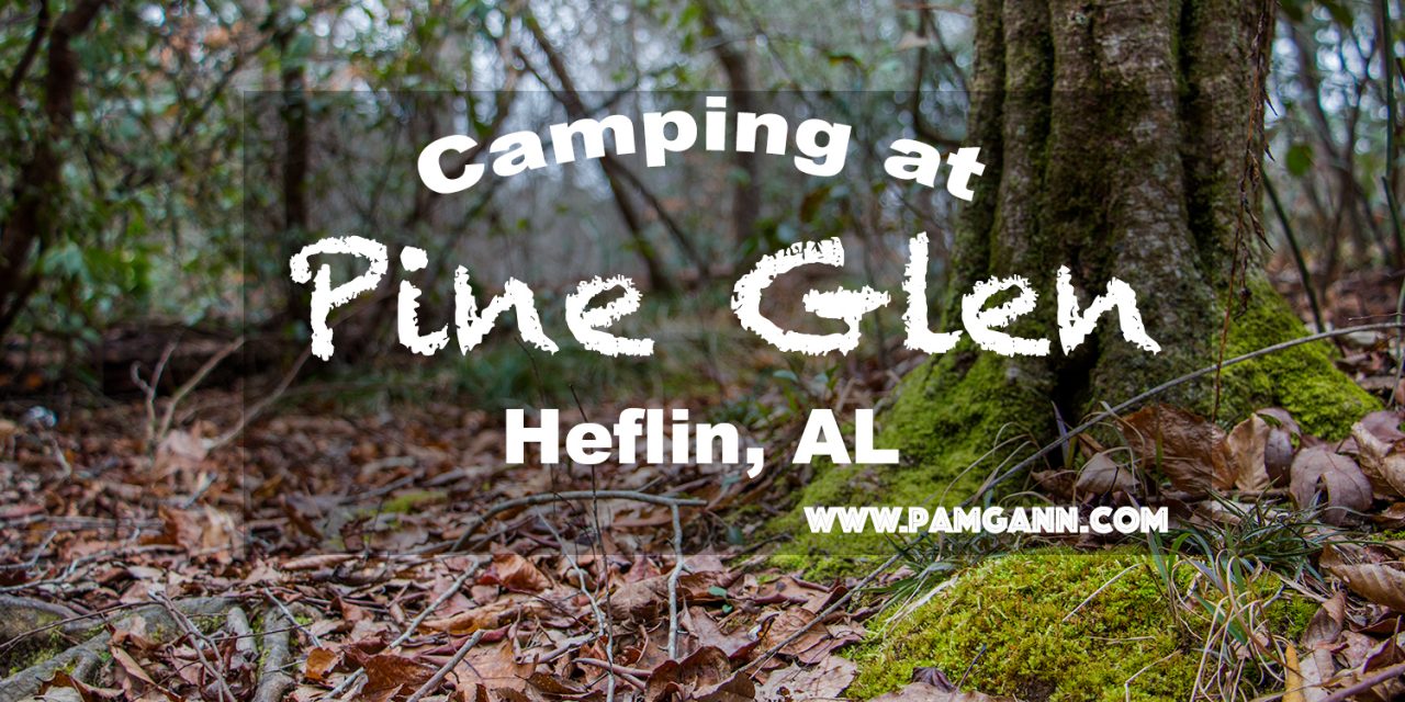 Pine Glen: Talladega National Forest, Alabama with video