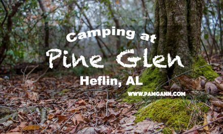 Pine Glen: Talladega National Forest, Alabama with video