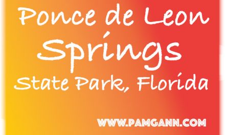 Ponce De Leon Springs State Park, Florida
