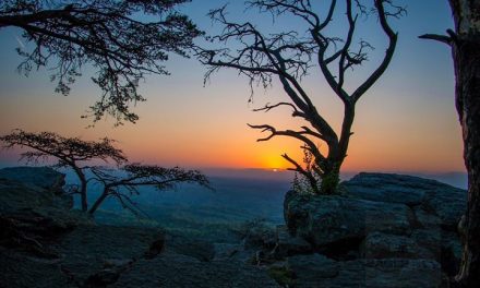 Everything you need to know to enjoy Cheaha State Park, Alabama