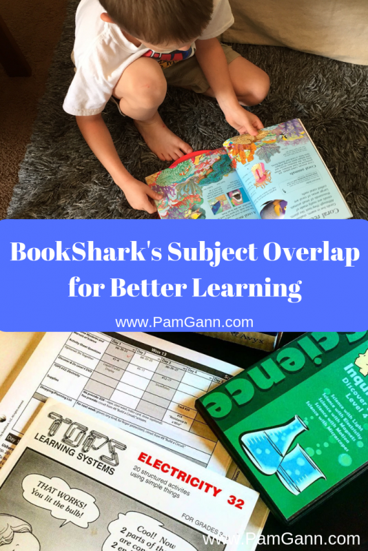 BookShark does a great job with subject overlap allowing for active recall and a greater learning. 