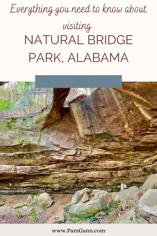The Natural Bridge Park in Alabama is a must see. The Longest natural bridge east of the Rockies with an amazing trail with nature and peace all around. 