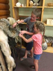 Checking out the hands-on area and getting to feel the pelts.